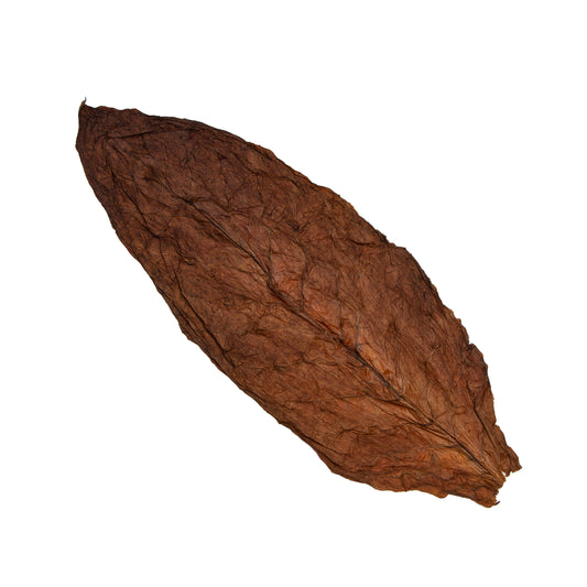Dragon Fronto Leaf Dark Premium Tobacco Leaf 
